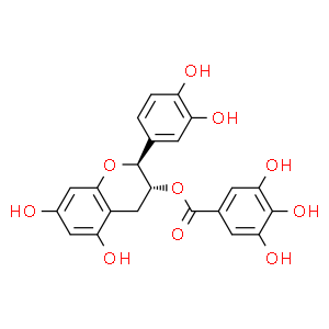 儿茶素没食子酸酯