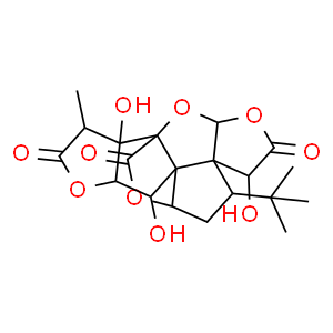 银杏内酯B