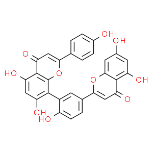 穗花杉双黄酮