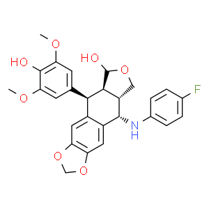 白果新酸