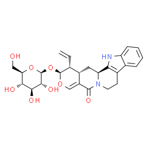 异长春花苷内酰胺