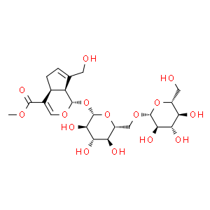 京尼平龙胆双糖苷