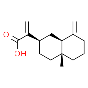 beta-木香酸