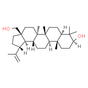 白桦脂醇