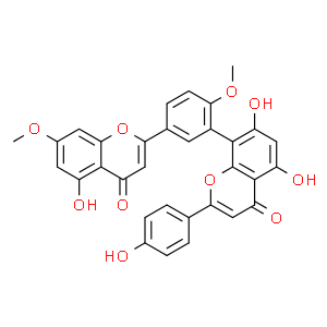 白果双黄酮