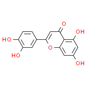 木犀草素