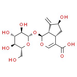 栀子新苷（栀子酮苷）