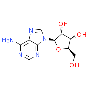腺苷