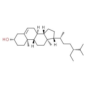 β-谷甾醇