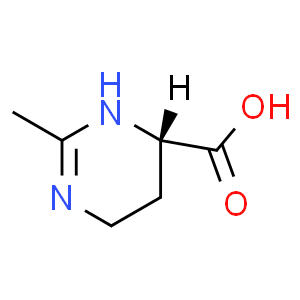 四氢甲基嘧啶羧酸；依克多因；四氢嘧啶